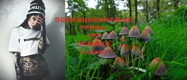 метамфетамин Алексеевка